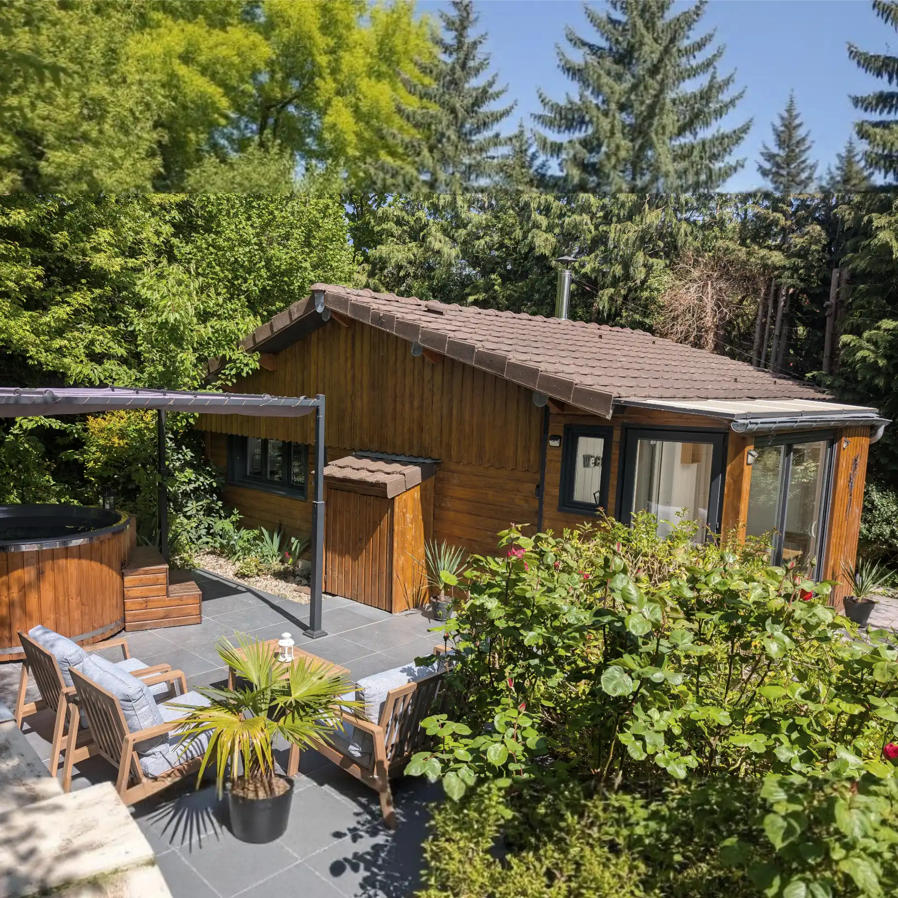 cottageaccueil Tiny House entourée d'arbres, avec vue sur le brasero