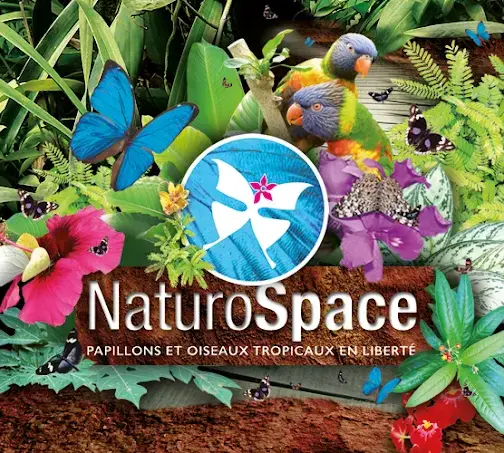 twitter-naturospace